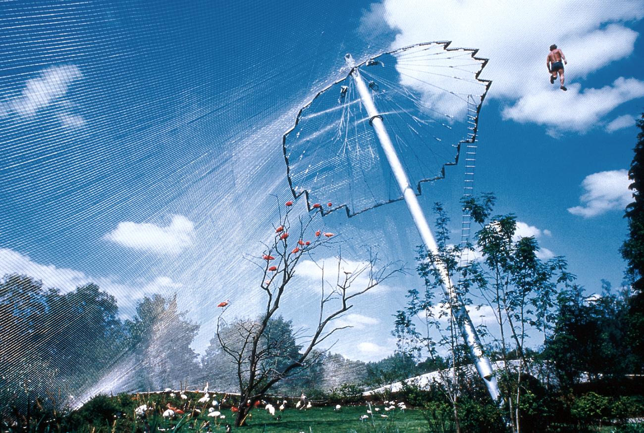Gran aviario del zoológico de Múnich: una red de cables casi imperceptible envuelve árboles y cielo